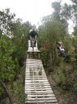 DSC05559.jpg