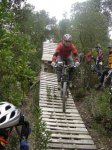 DSC05572.jpg