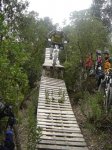 DSC05578.jpg