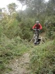 DSC05597.jpg