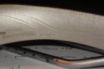 DSC00129 (Large).JPG
