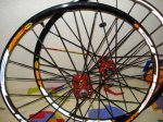 DSC08156.JPG