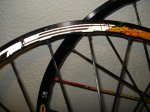 DSC08155.JPG