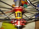 DSC08153.JPG