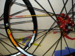 DSC08152.JPG