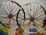 DSC08149.JPG