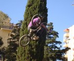 DSC06569 - copia.JPG