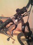 imag0084xy4.jpg