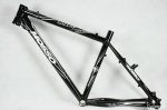 mmosso gallop1.jpg