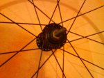 DSC00370.jpg