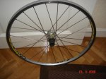 DSC01706.jpg
