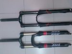 fox folat 038.jpg