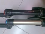 fox folat 040.jpg