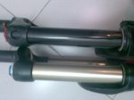 fox folat 041.jpg