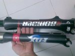 fox folat 042.jpg