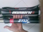 fox folat 043.jpg