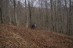 2008 Pivot Egozkue 015.jpg
