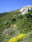 Imagen 011.jpg