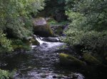 IMGP0967.jpg