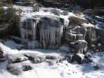 IMG_1642.jpg