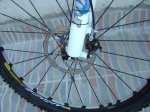 DSC02784.JPG