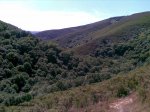 marronda020.jpg