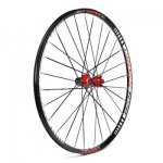 marchisio cross r28.JPG