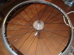 DSC02509.jpg