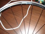 DSC02512.jpg