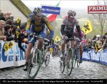 back-flanders[1].jpg