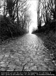 thanksgiving-koppenberg2[1].jpg
