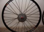 DSC00917.jpg