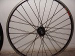DSC00918.jpg