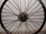 DSC00919.jpg