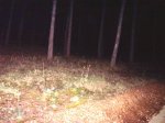 102_7370.jpg