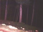102_7371.jpg