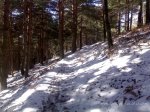28112008047.jpg