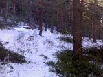 28112008052.jpg