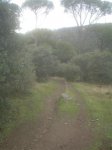 DSC08290.JPG