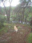 DSC08299.JPG