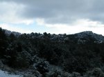 DSCF0049.JPG