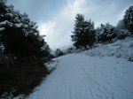 DSCF0051.JPG