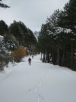 Foto 030.JPG