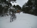 Foto 031.JPG