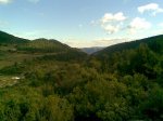 Imagen006.jpg