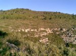 Imagen011.jpg