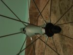DSC00398.JPG