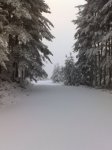 nieve8.jpg
