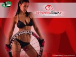 1221631708_wheelsbike5.jpg