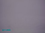 PICT0831.jpg
